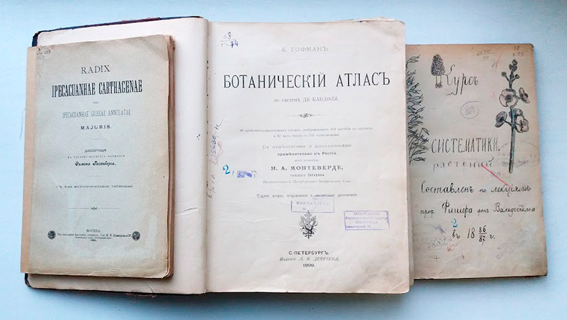 «Природа - джерело здоров'я і краси»