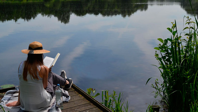 Світ, видимий через книгу